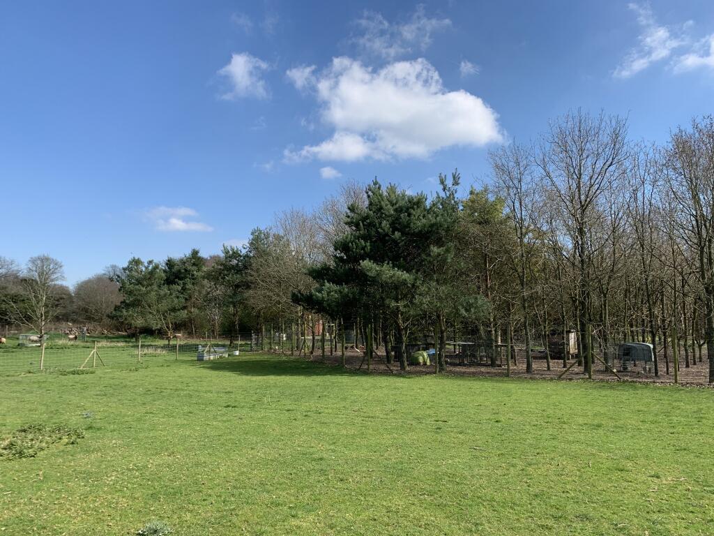 Additional image 5 of Shellbridge Road, Slindon Common, Arundel, BN18