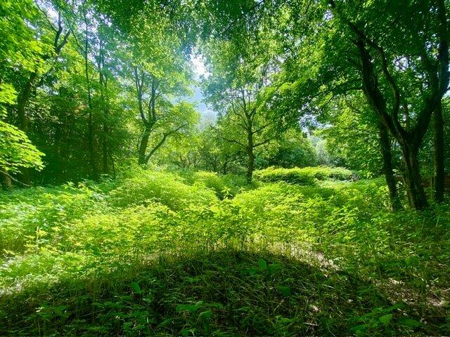 Additional image 10 of Leigh Lane, Elton Bury, Greater Manchester, BL8