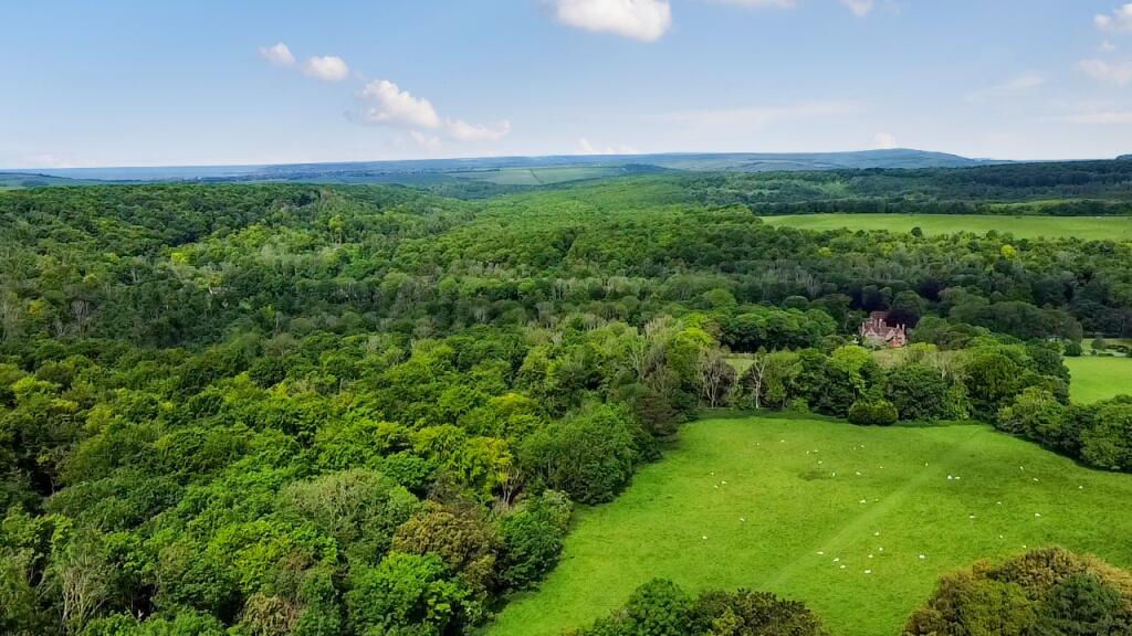 Additional image 38 of Taperfield, Jevington Road, Friston, Eastbourne