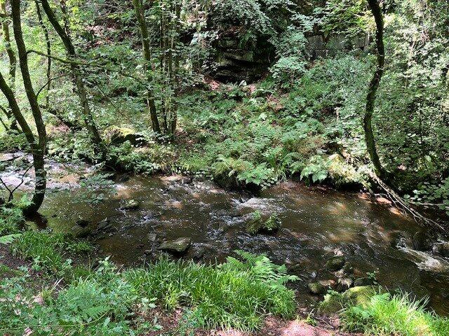 Additional image 8 of Goit Stock Wood, Harden, Bingley, West Yorkshire, BD16