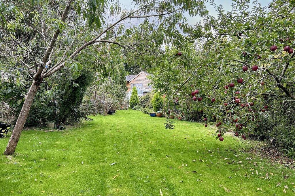 Additional image 21 of Bere Regis