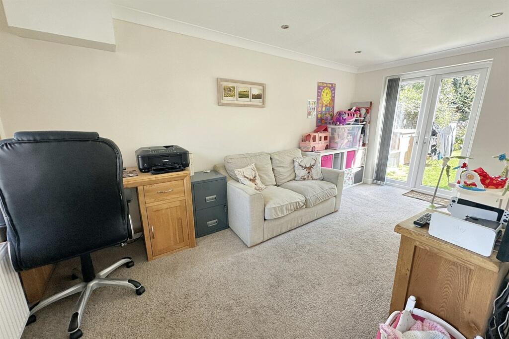 Additional image 7 of Camelias