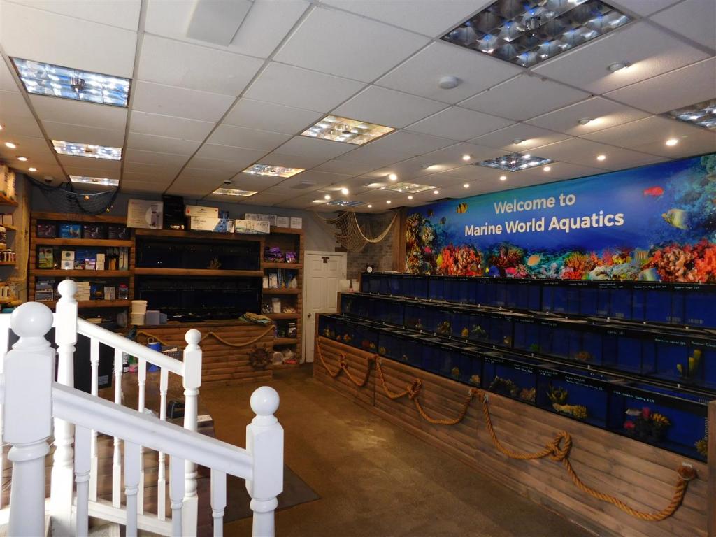 Additional image 8 of Buttershaw Lane, Wibsey, Bradford, BD6 2DD