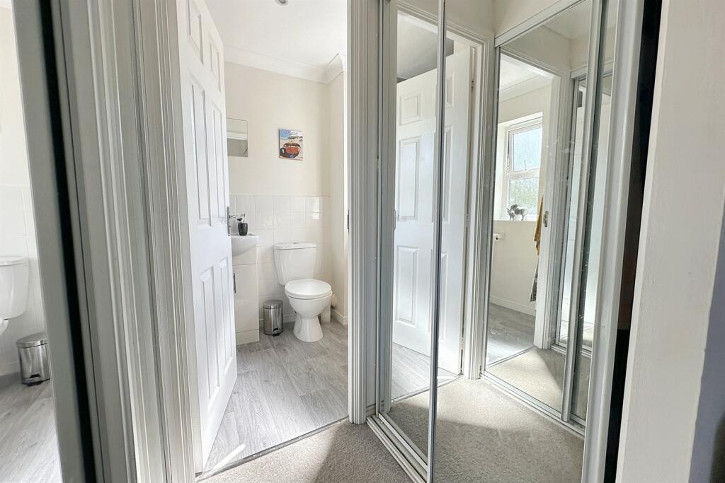 Additional image 10 of Camelias