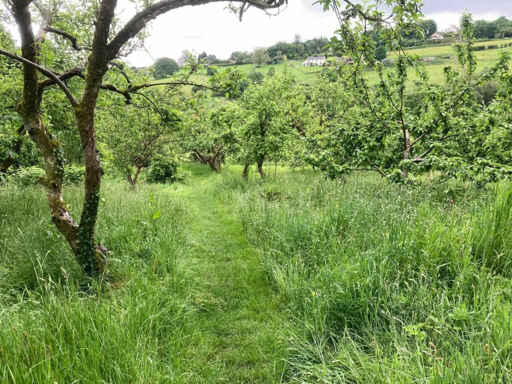Additional image 28 of Chapel Gardens, Greenmount
