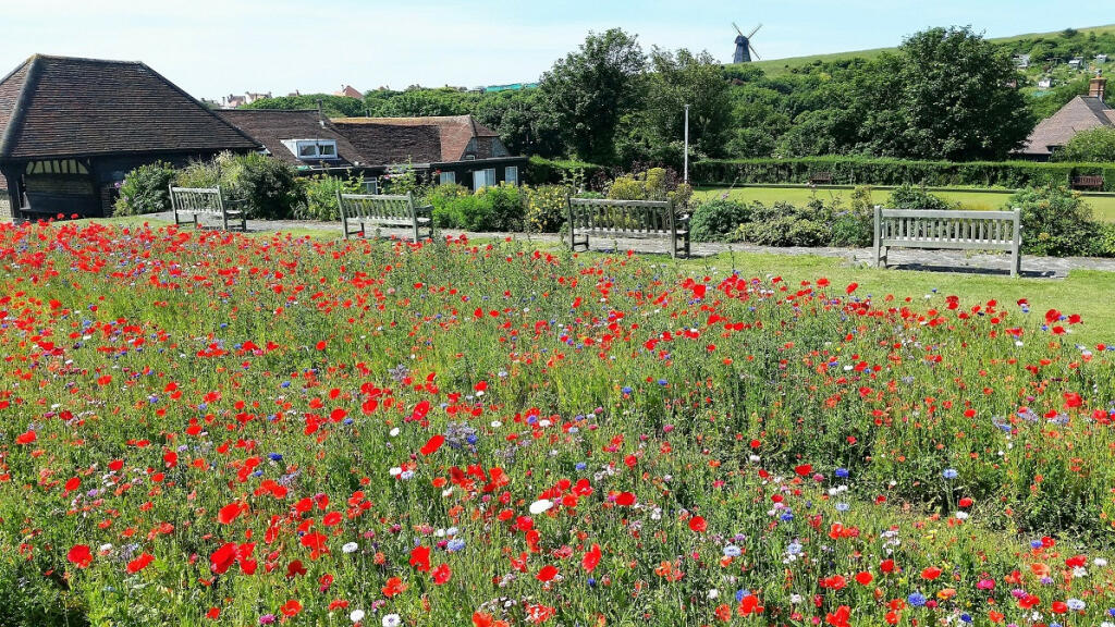 Additional image 31 of Dean Court Road, Rottingdean , East Sussex, BN2