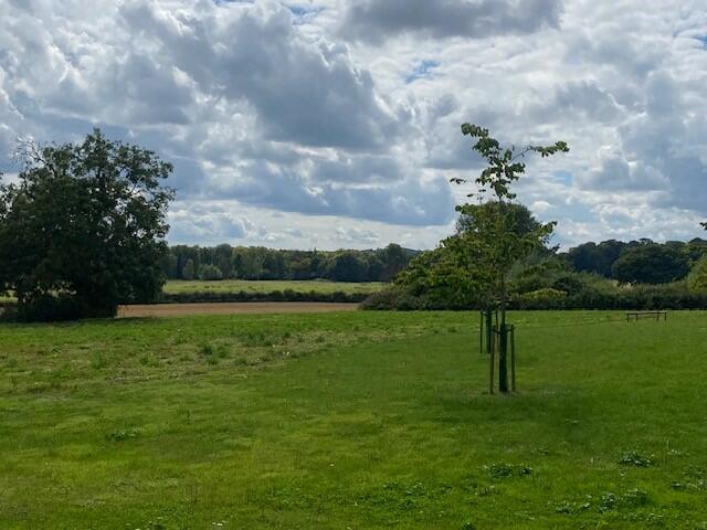 Additional image 6 of Unit 3 Baileys Hill Workshops, Wimborne St Giles BH21 5NB