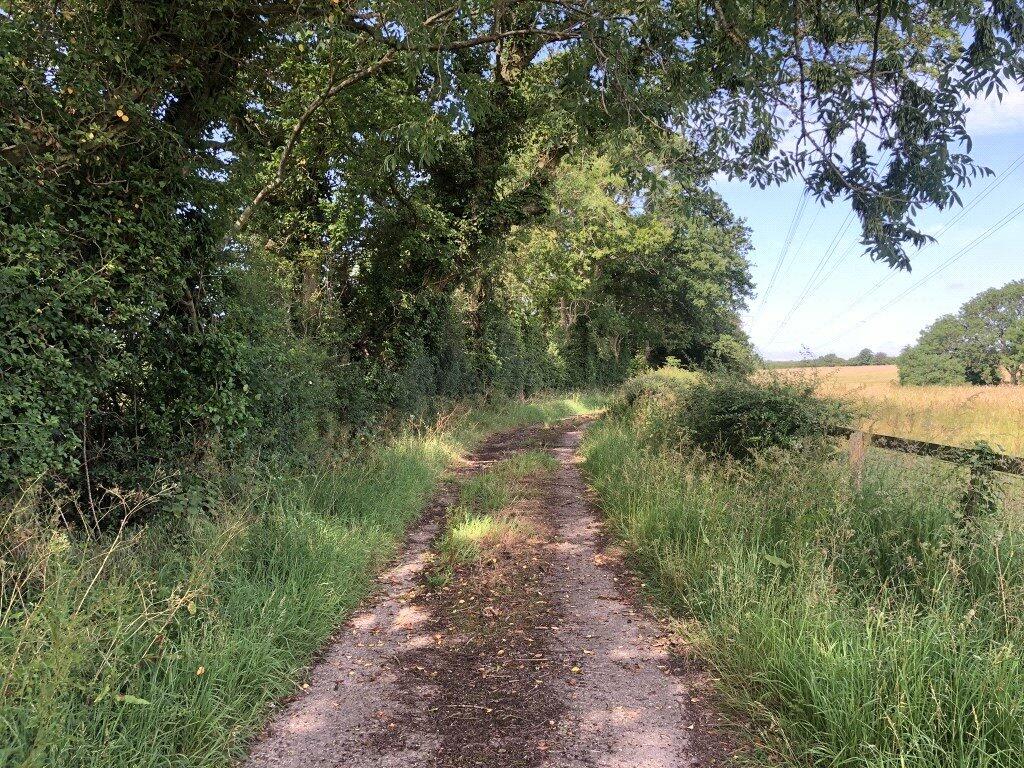 Additional image 8 of Bodle Street Green, Hailsham