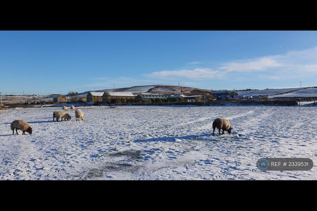 Additional image 7 of Country View, Denholme, Bradford, BD13