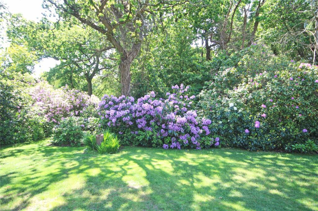 Additional image 19 of Barrs Avenue, New Milton, Hampshire, BH25