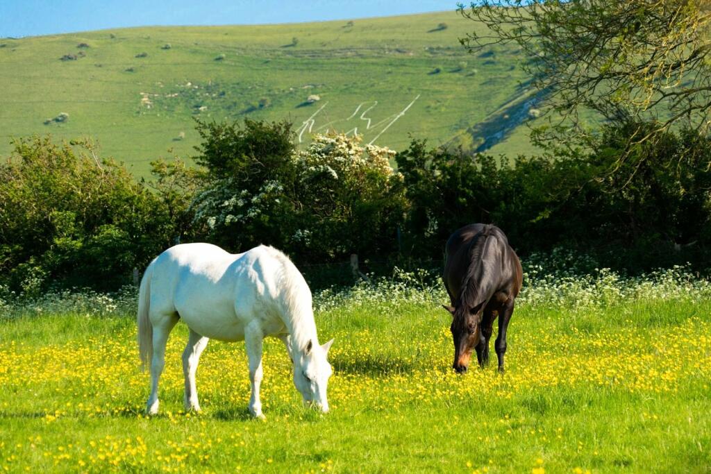 Additional image 32 of Little Paddocks, Milton Street, Nr Alfriston East Sussex, BN26