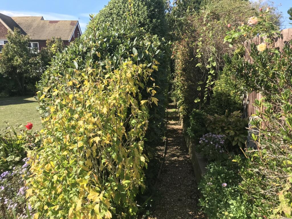 Additional image 14 of Hometye House, Claremont Rd, BN25