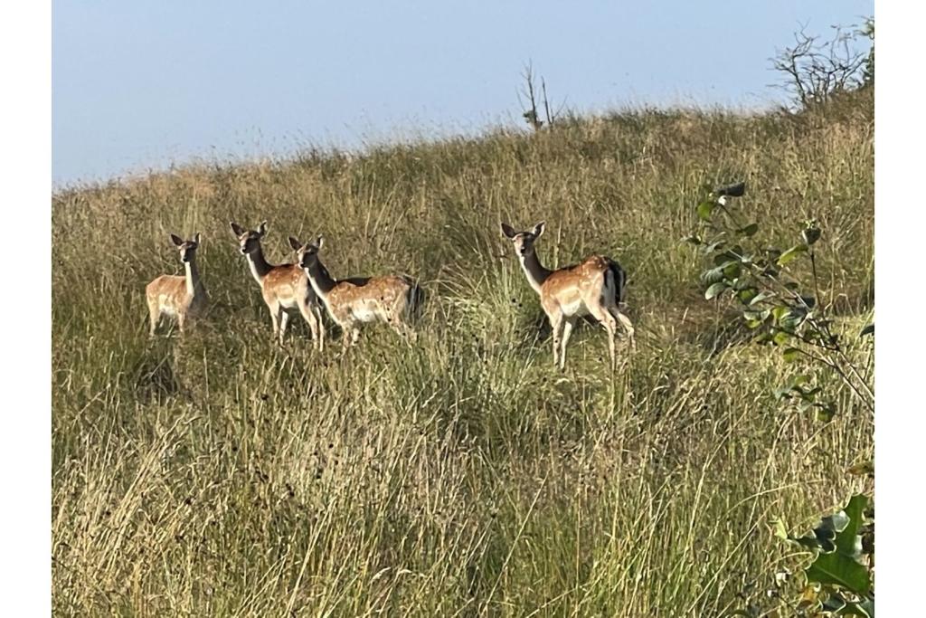 Additional image 19 of Horrocks Fold, Bolton, BL1