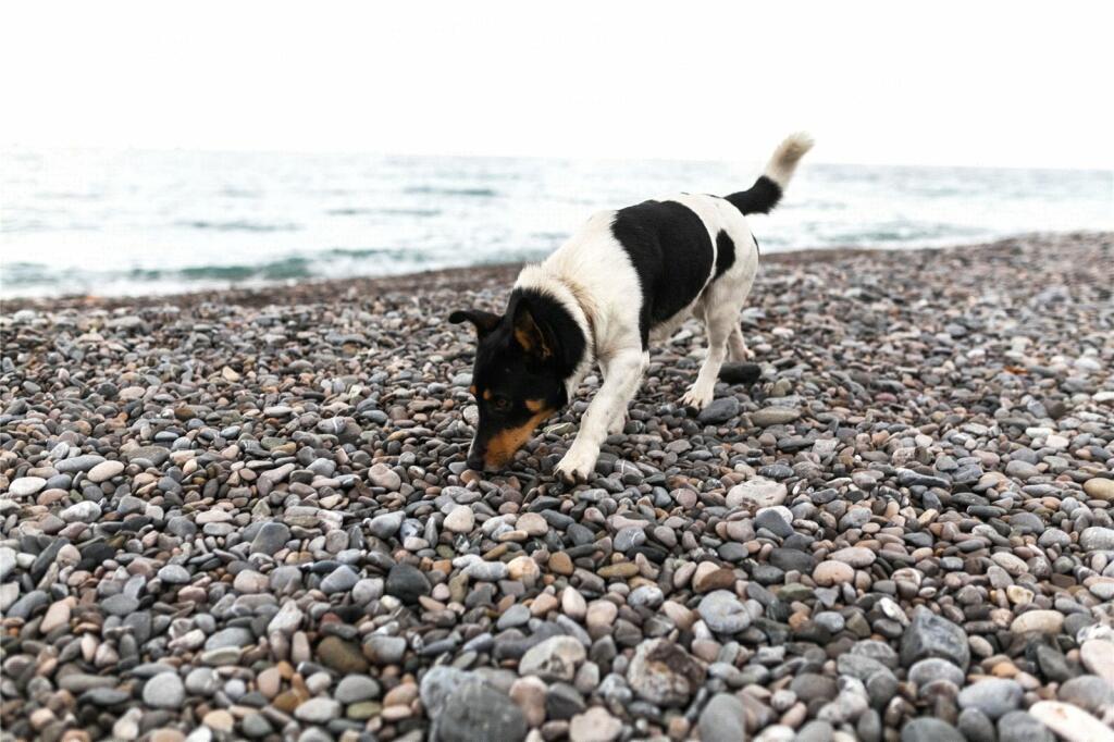 Additional image 9 of Gloucester Place, Brighton, BN1