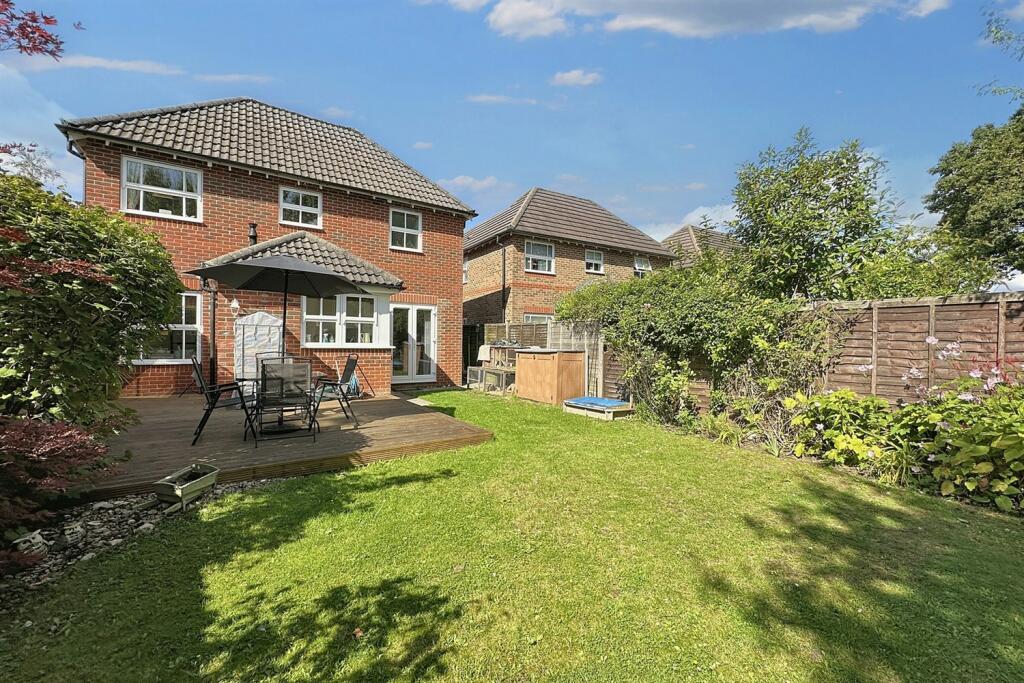 Additional image 20 of Camelias