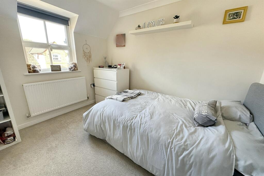 Additional image 13 of Camelias