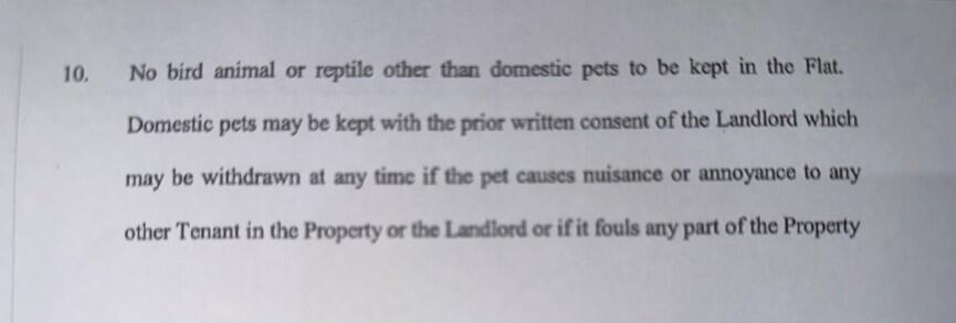 Additional image 13 of Warren Road, ALUM CHINE, BH4