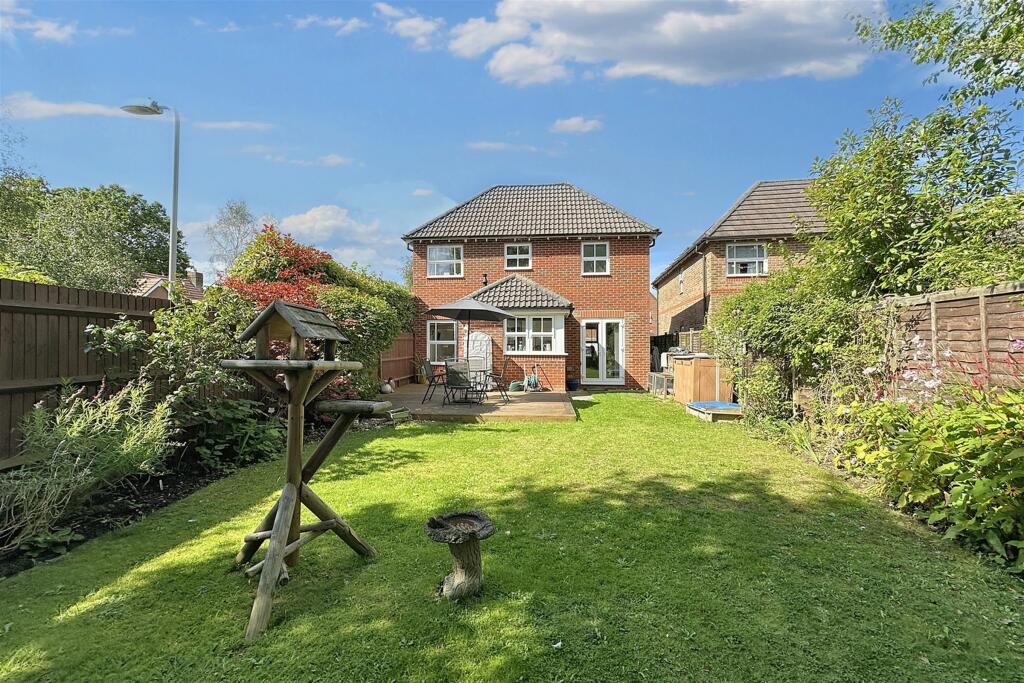 Additional image 21 of Camelias