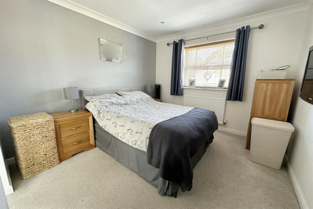 Additional image 9 of Camelias