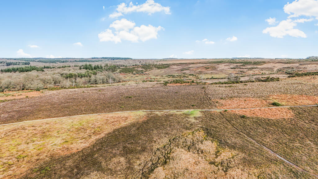 Additional image 18 of Shobley, Ringwood, Hampshire, BH24