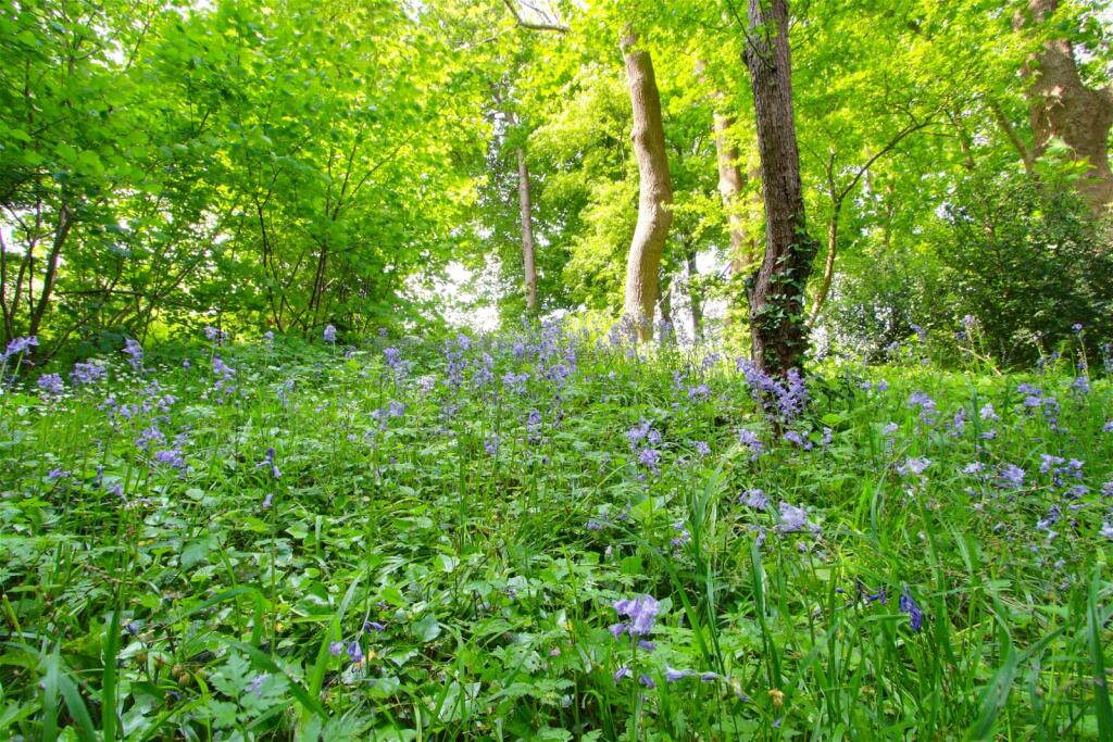 Additional image 42 of Oakley, Station Approach, Pensford, Bristol, BS39 4AE