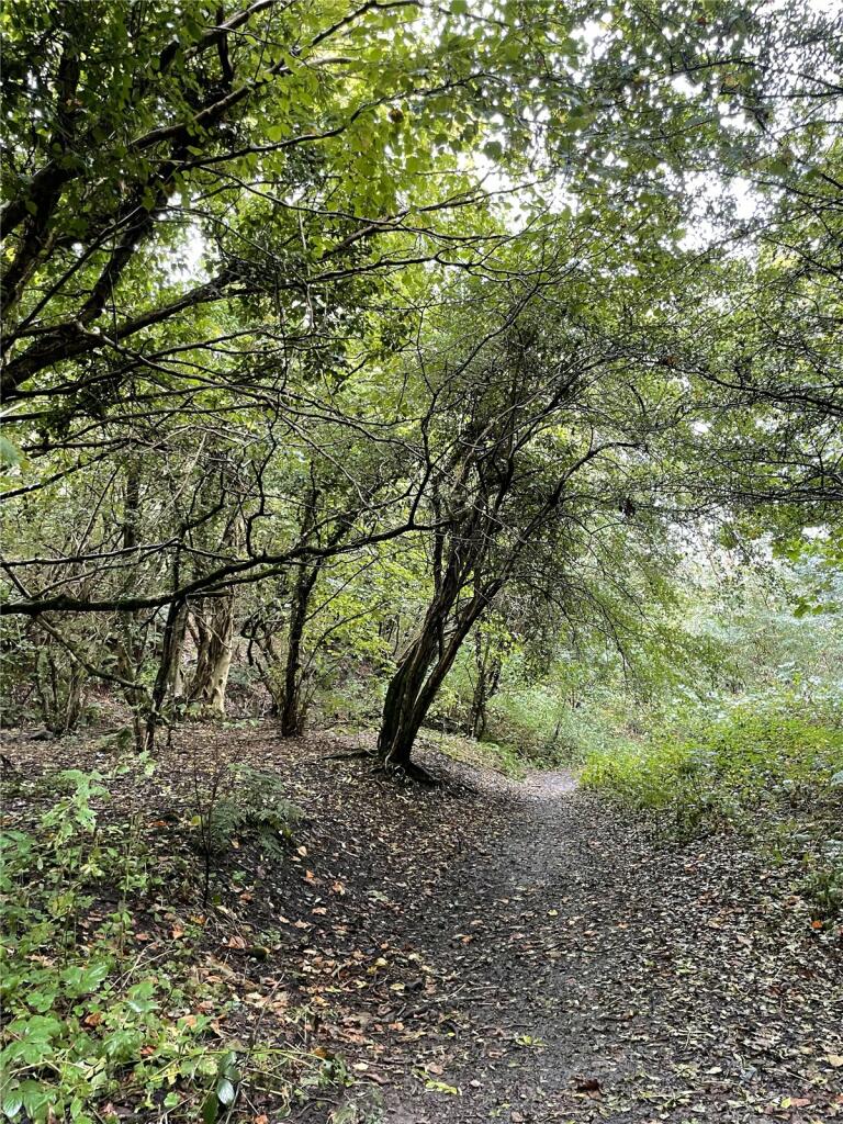 Additional image 8 of Garley Gill Woodland, Dearham, Maryport, Cumbria, CA15