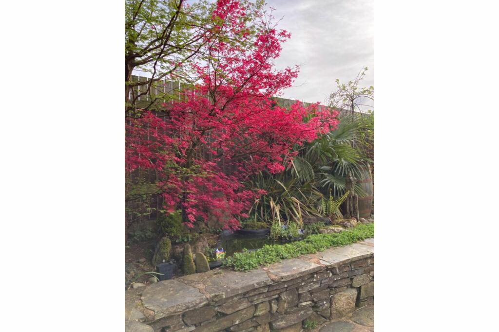 Additional image 22 of Lamplugh, Nr National Park, CA14