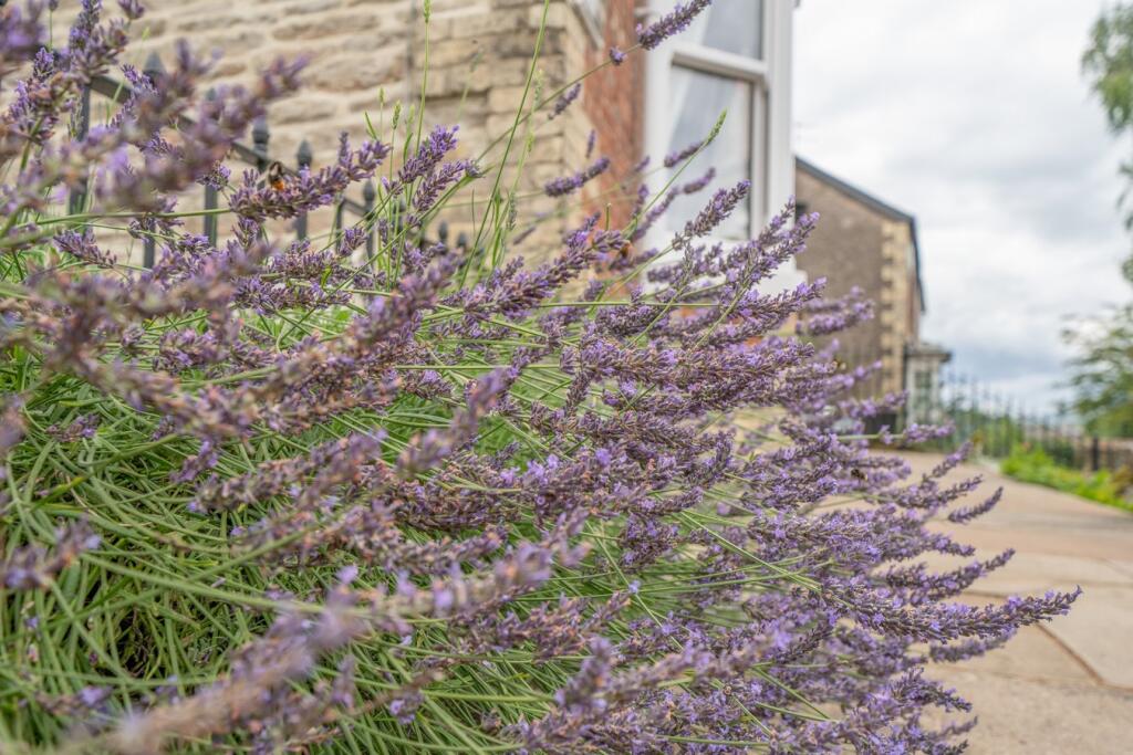 Additional image 49 of South Road, Kirkby Stephen, CA17