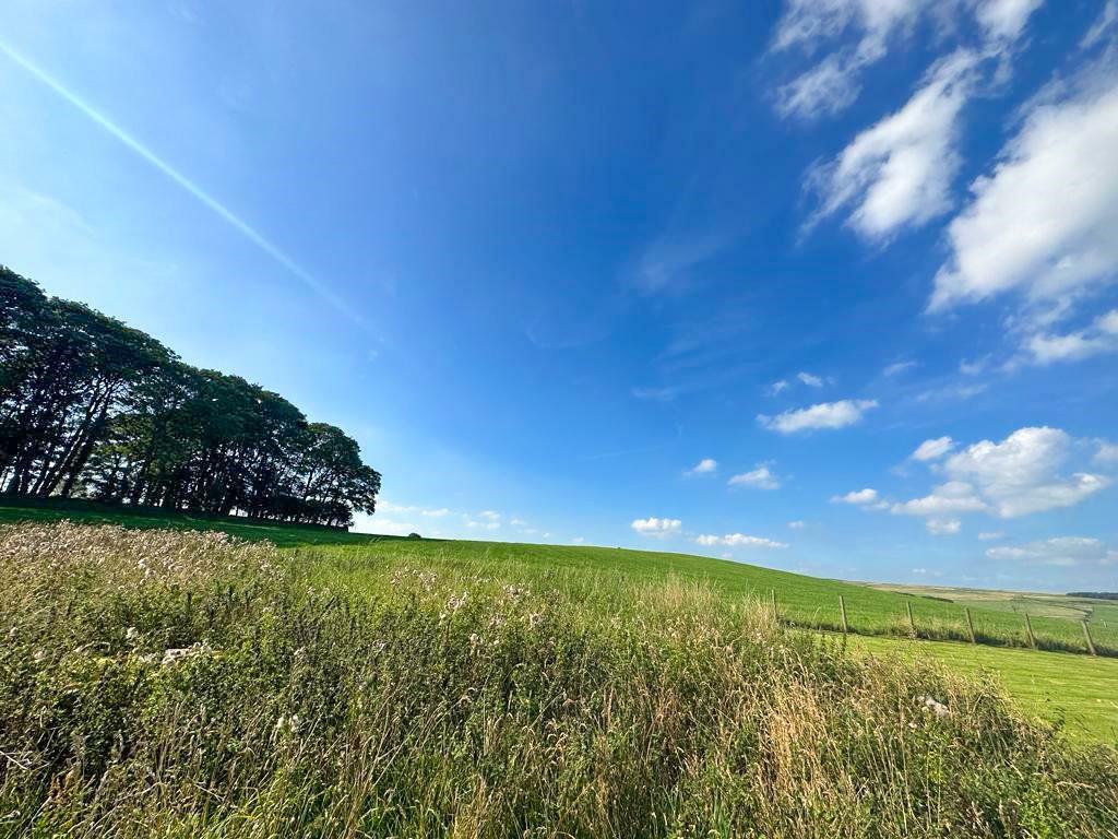 Additional image 25 of Kit Lane, Silsden