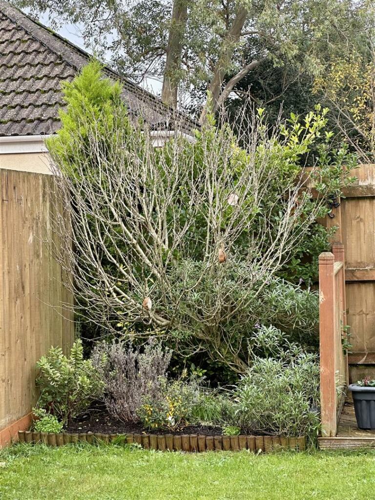 Additional image 29 of Oak Close, Cheddar