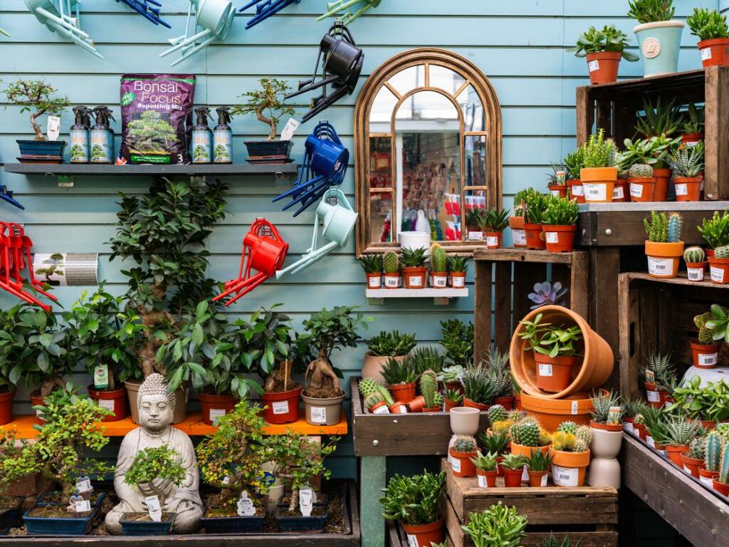 Additional image 25 of Whitehall Garden Centre, Norton Lane, Bristol, Somerset, BS14 0BT