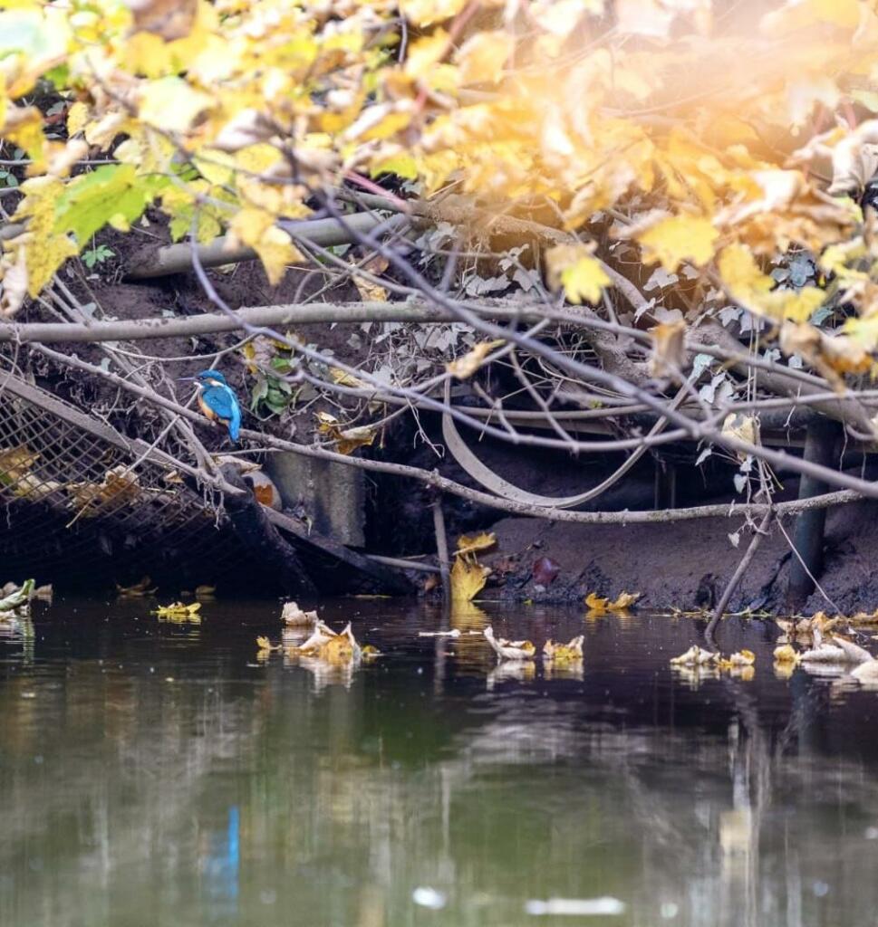 Additional image 32 of Boroughgate, Appleby-In-Westmorland