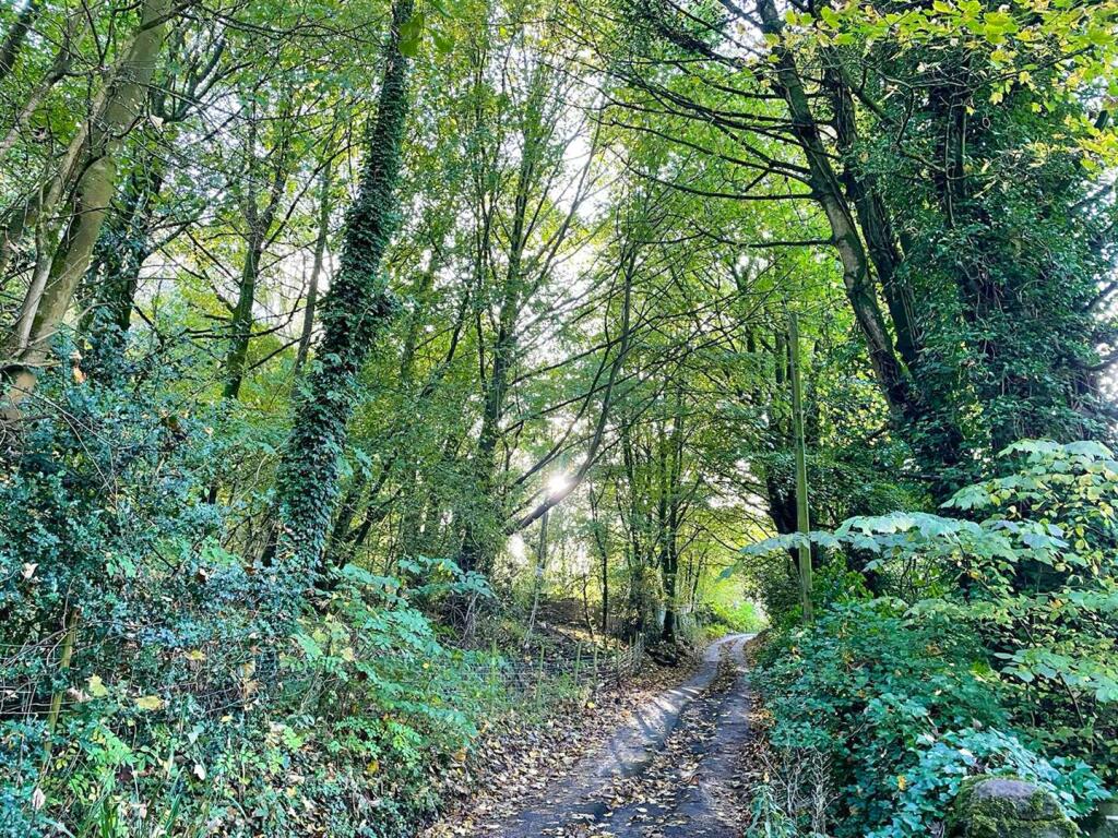 Additional image 54 of Fernbank House and Cottage, Moor Lane, Eastburn