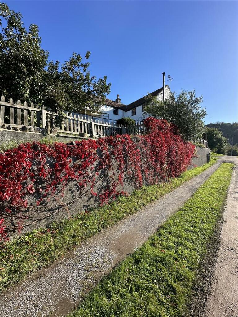Additional image 77 of Tuttors Hill, Cheddar