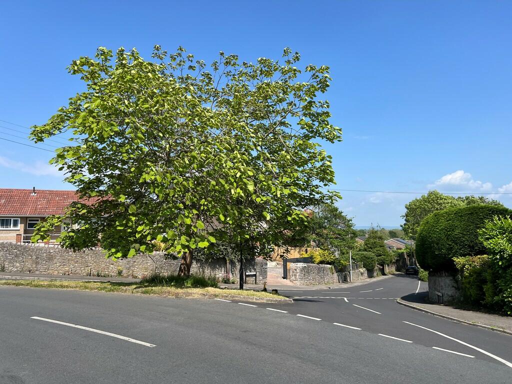 Additional image 20 of Lower Kewstoke Road