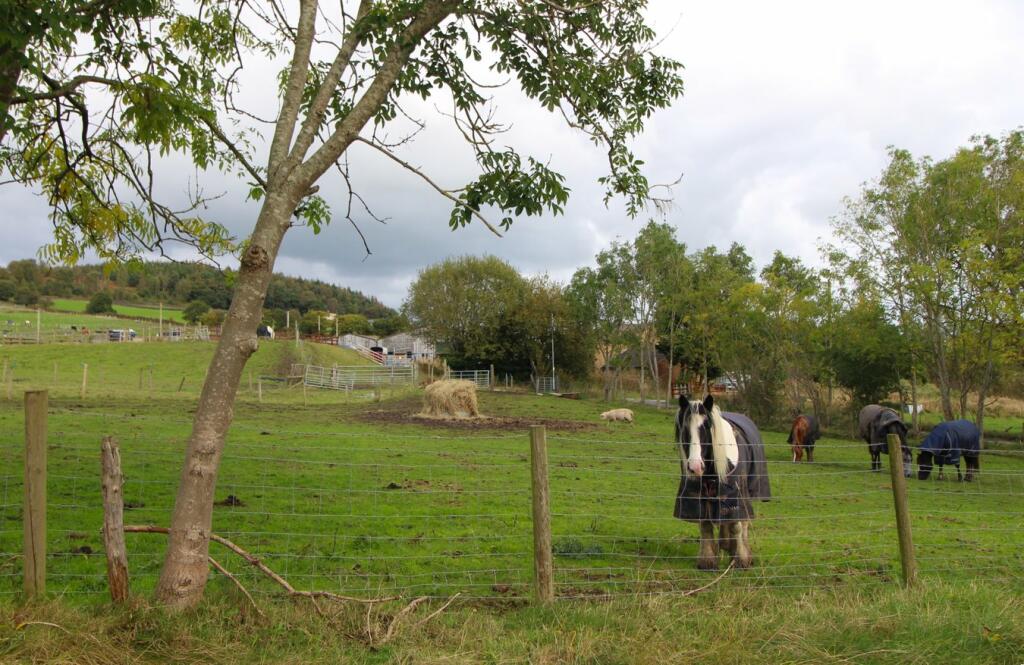 Additional image 18 of Fairfax Road, Cullingworth, Bradford, BD13