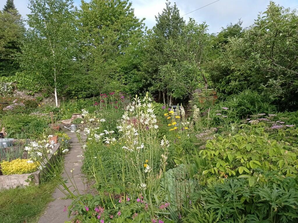 Additional image 28 of Green Head Lane, Utley