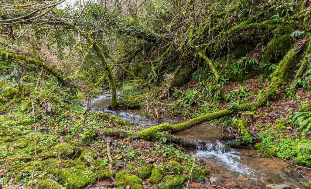 Additional image 10 of Coombe Lane , East Harptree, BS40