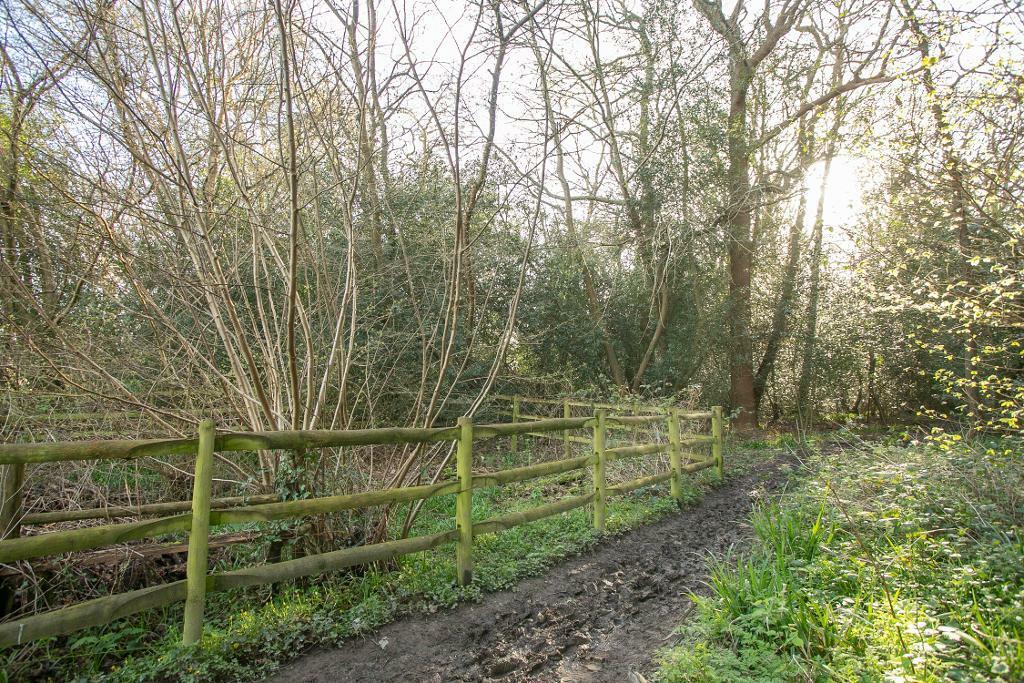 Additional image 20 of Muddles Green, Chiddingly, East Sussex, BN8 6HN