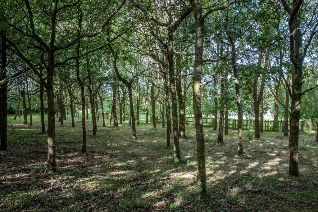 Additional image 54 of Beach Lane, Beach, Nr Bath, BS30.