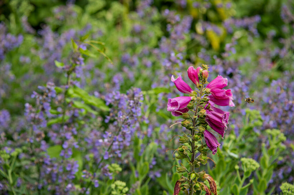 Additional image 45 of Mill Lane, Bristol, BS49