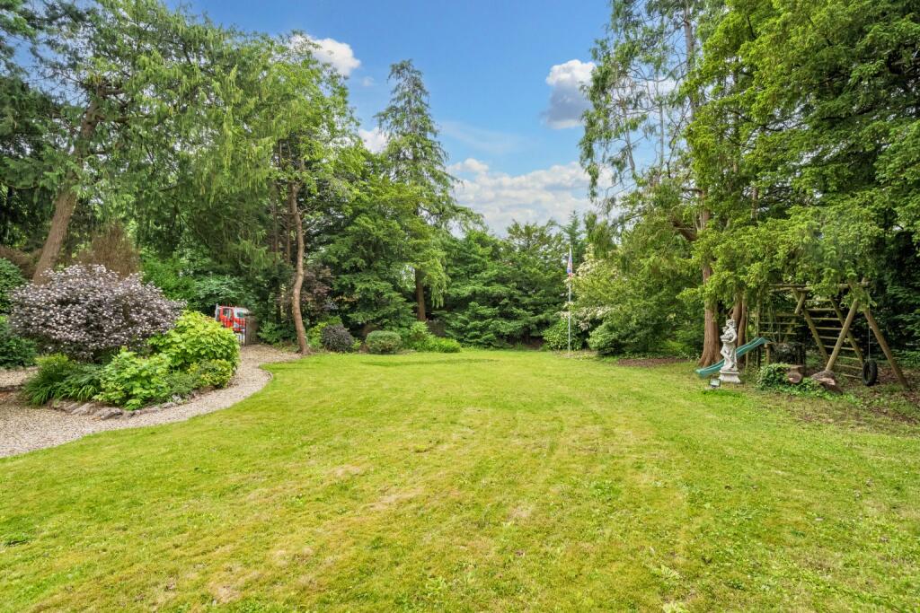 Additional image 23 of CHEDDAR