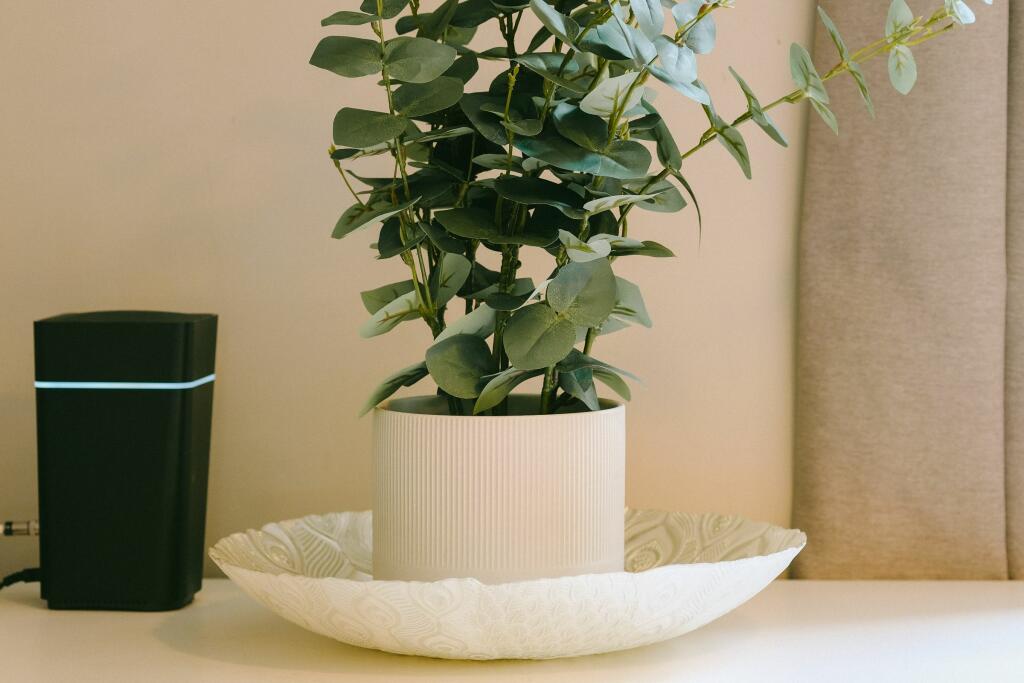 Additional image 12 of Midland Road, St. Philips, Bristol