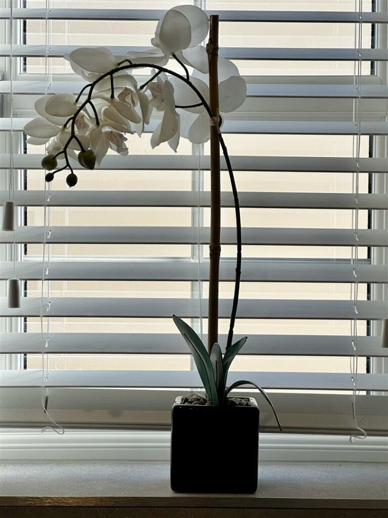 Additional image 35 of Longfield Drive, Wedmore