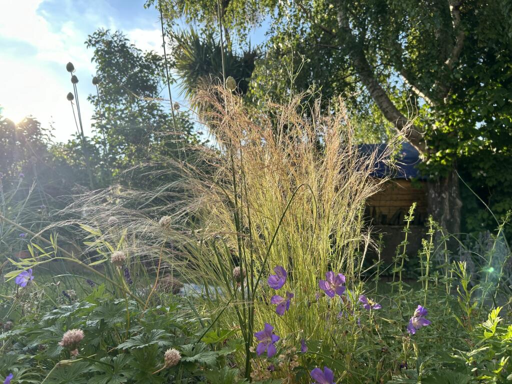 Additional image 32 of Ridgeway Road, Bristol