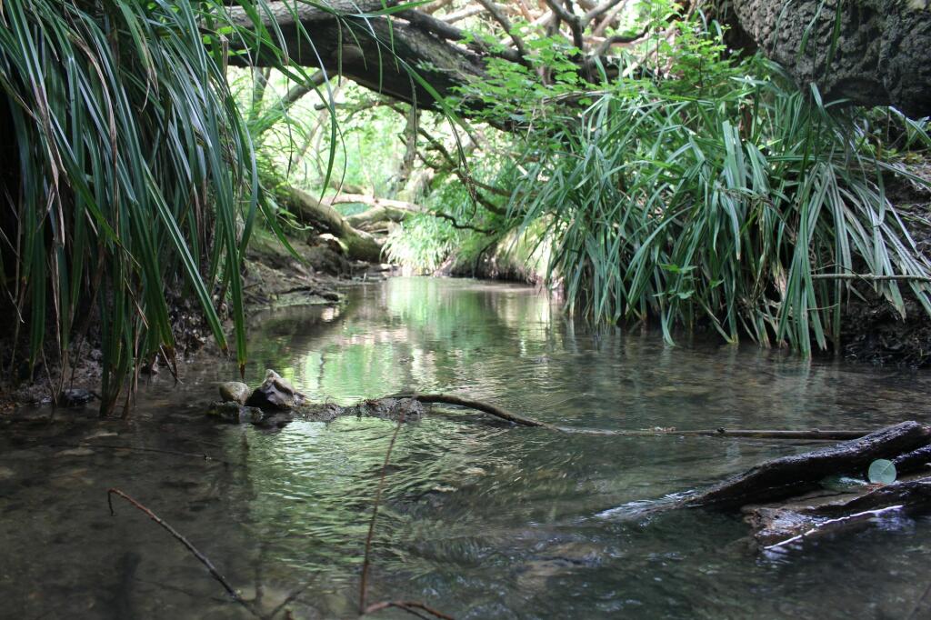 Additional image 31 of Streat Lane, Streat, BN6