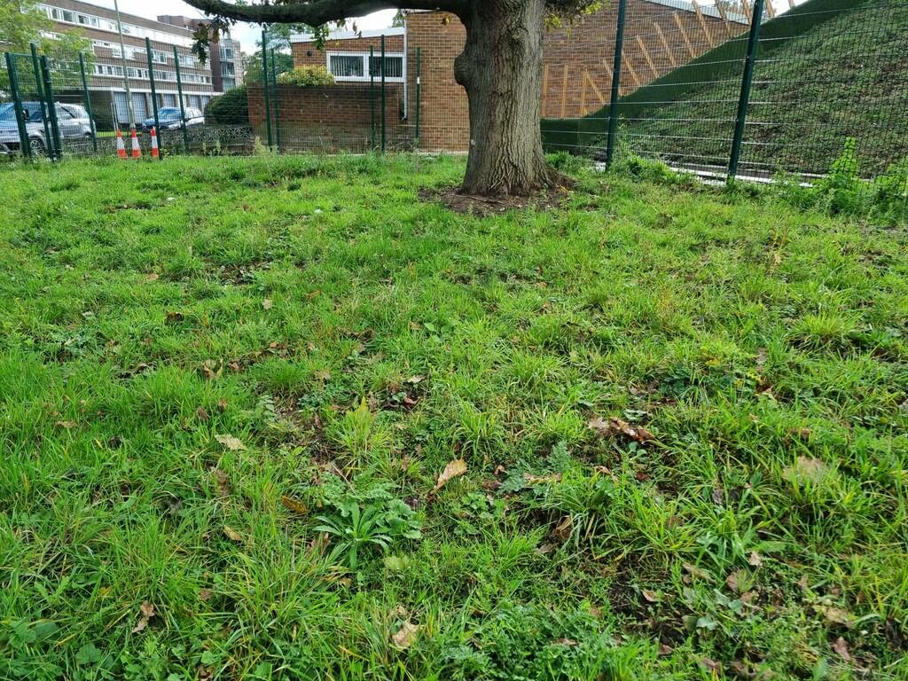 Additional image 20 of Cameron Road, Bromley