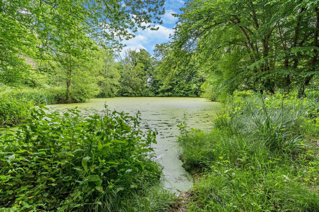 Additional image 45 of Chiddingly, Lewes, East Sussex