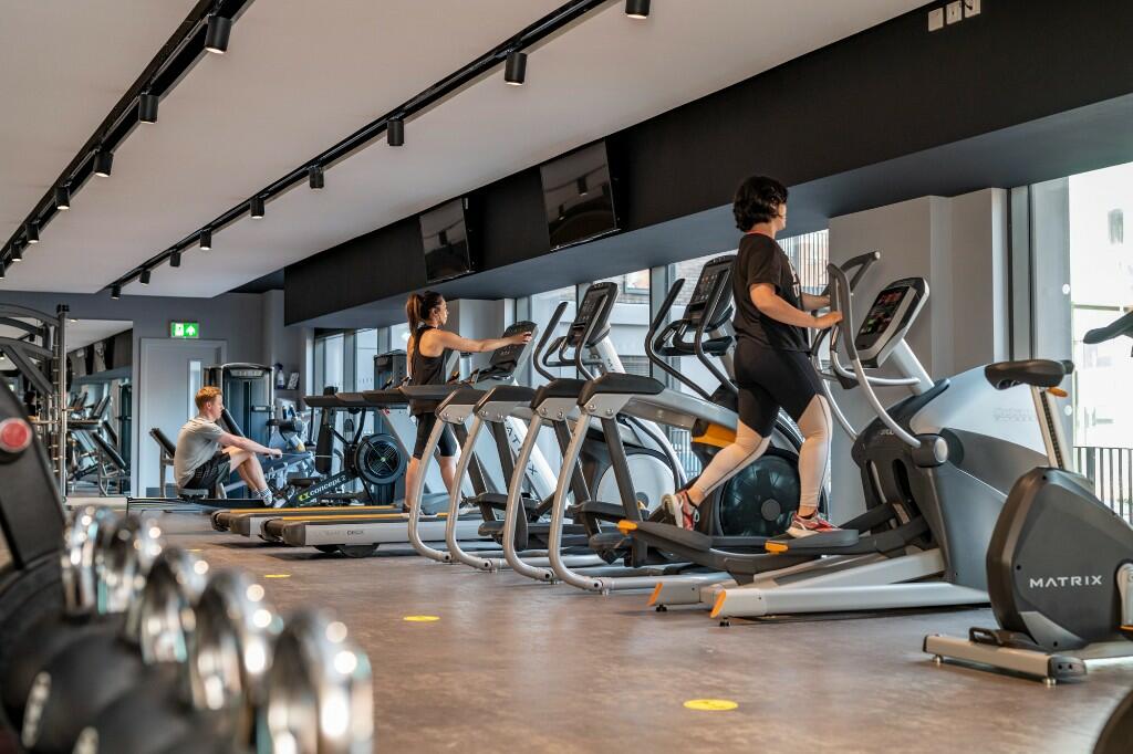 Additional image 3 of 319 Rosewood