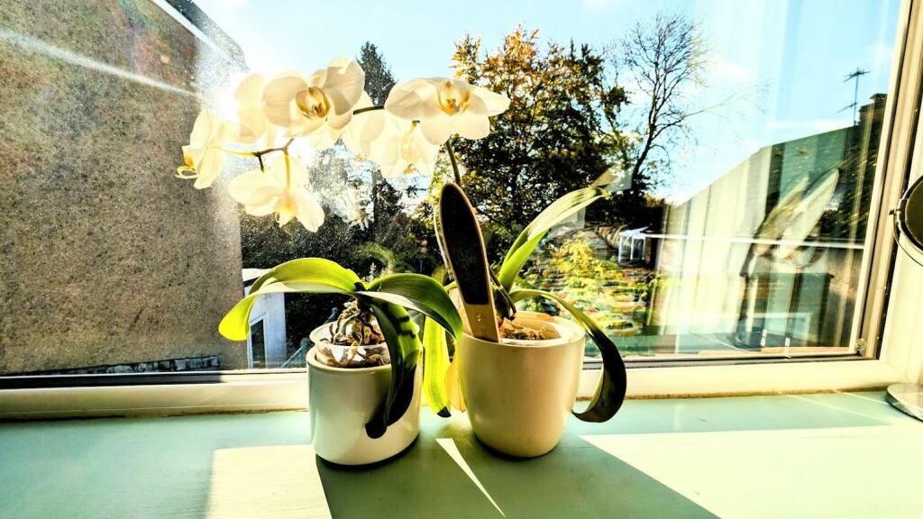 Additional image 15 of Cock Road, Bristol